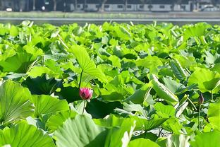 境遇天差地别！李铁行贿登顶热搜，范志毅与胡歌聊球热搜第七